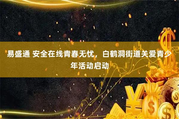 易盛通 安全在线青春无忧，白鹤洞街道关爱青少年活动启动